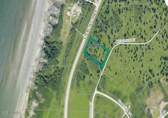 Homes for sale in Ninilchik, AK | 17619 Chefornak St, Ninilchik, AK 99639 | MLS# 25-1568
