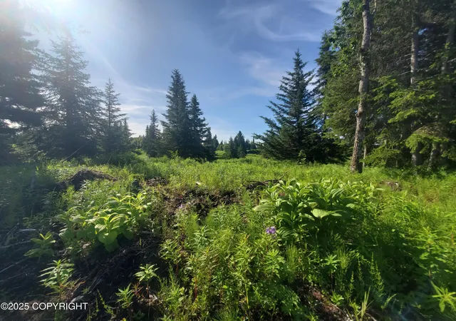 Homes for sale in Ninilchik, AK | 17490 Chefornak St, Ninilchik, AK 99639 | MLS# 25-1677