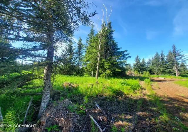Homes for sale in Ninilchik, AK | 17490 Chefornak St, Ninilchik, AK 99639 | MLS# 25-1677