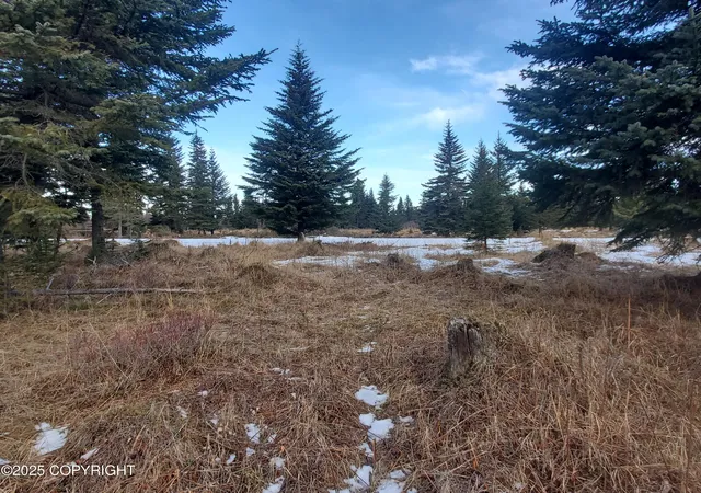 Homes for sale in Ninilchik, AK | 17528 Chefornak St, Ninilchik, AK 99639 | MLS# 25-1831