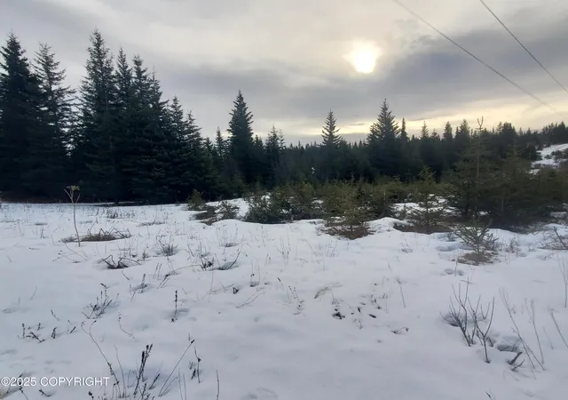 Homes for sale in Ninilchik, AK | 17491 Kimeluk St, Ninilchik, AK 99639 | MLS# 25-1841