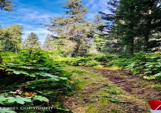 Homes for sale in Remote, AK | L22 Kalgin Island Estates, Remote, AK 99000 | MLS# 25-2679
