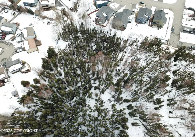 Homes for sale in Anchorage, AK | 3026 E 68th Ave, Anchorage, AK 99507 | MLS# 25-3104