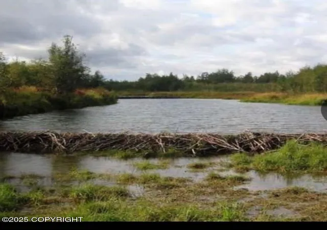 Photo 3 of Land for sale at 000 Aniak River, Aniak, AK 99000 | MLS# 25-4029 | Listing updated on 2026-04-14