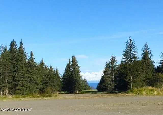 Photo 2 of Land for sale at 33699 Granross St, Anchor Point, AK 99556 | MLS# 25-3325 | Listing updated on 2026-07-28