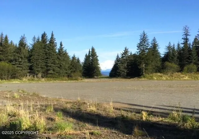 Photo 3 of Land for sale at 33699 Granross St, Anchor Point, AK 99556 | MLS# 25-3325 | Listing updated on 2026-07-28