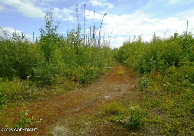 Photo 1 of Land for sale at Mile 72 Parks Hwy, Willow, AK 99688 | MLS# 25-3504 | Listing updated on 2026-08-02