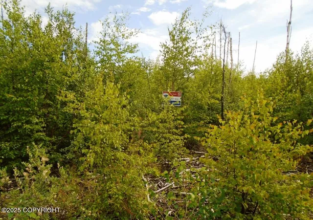 Photo 2 of Land for sale at Mile 72 Parks Hwy, Willow, AK 99688 | MLS# 25-3504 | Listing updated on 2026-08-02