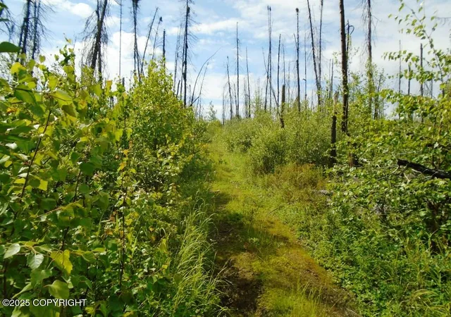 Photo 3 of Land for sale at Mile 72 Parks Hwy, Willow, AK 99688 | MLS# 25-3504 | Listing updated on 2026-08-02