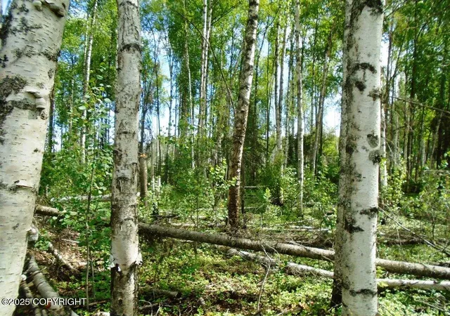 Photo 4 of Land for sale at Mile 72 Parks Hwy, Willow, AK 99688 | MLS# 25-3504 | Listing updated on 2026-08-02