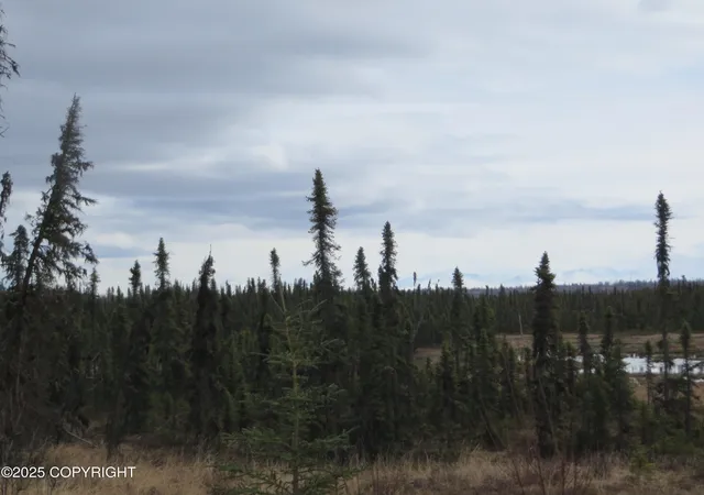 Homes for sale in Kasilof, AK | 55415 Sterling Hwy, Kasilof, AK 99610 | MLS# 25-3743