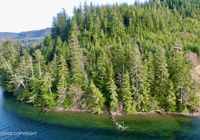 Homes for sale in Craig, AK | 92 Mile Port Saint Nicholas Rd, Craig, AK 99921 | MLS# 25-4034
