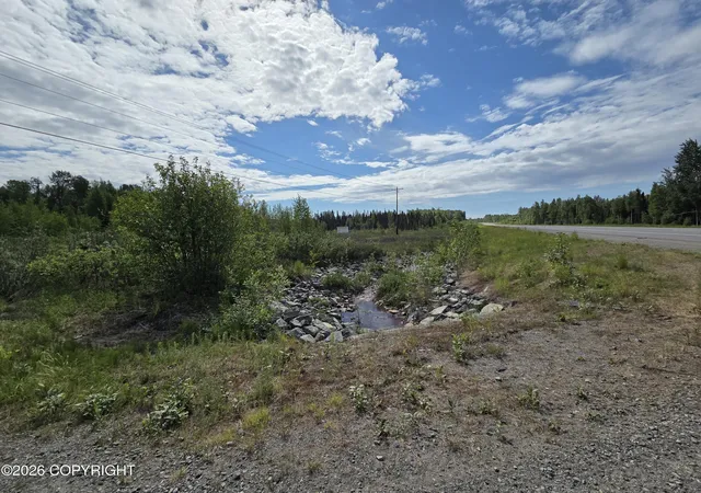 1st image of Mile 965 S Parks Hwy, Talkeetna, AK 99676 | MLS# 26-7389