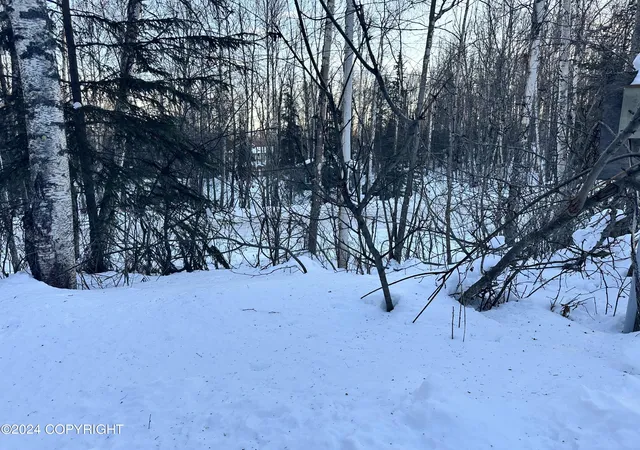 Photo 3 of Land for sale at 9404 S Starlight Ln, Wasilla, AK 99623 | MLS# 25-5111 | Listing updated on 2026-09-26