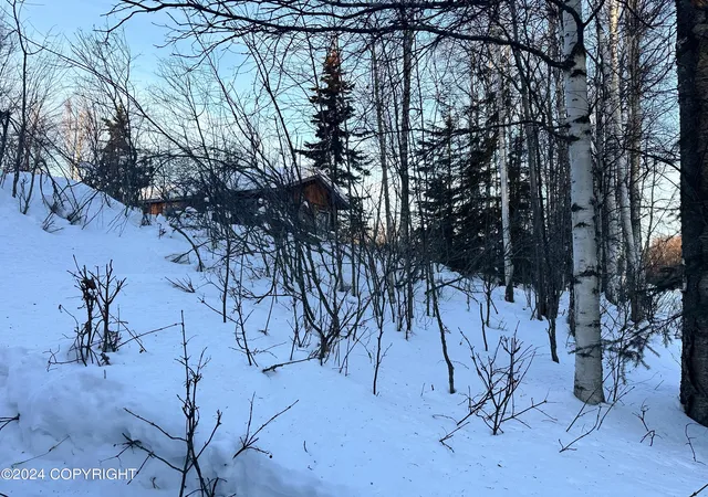 8th image of 9404 S Starlight Ln, Wasilla, AK 99623 | MLS# 25-5111