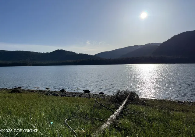 2nd image of 54 Blueberry Lane, Petersburg, AK 99833 | MLS# 25-5560