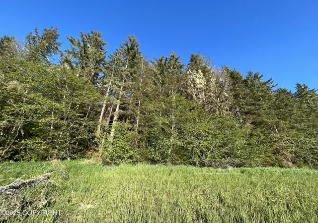 4th image of 54 Blueberry Lane, Petersburg, AK 99833 | MLS# 25-5560