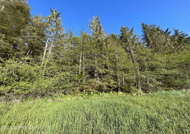 4th image of 52 Blueberry Lane, Petersburg, AK 99833 | MLS# 25-5561