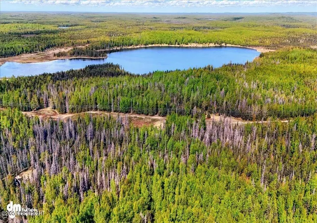 Photo 1 of Land for sale at L15 Moosetadon Dr, Sterling, AK 99672 | MLS# 25-6764 | Listing updated on 2025-11-05