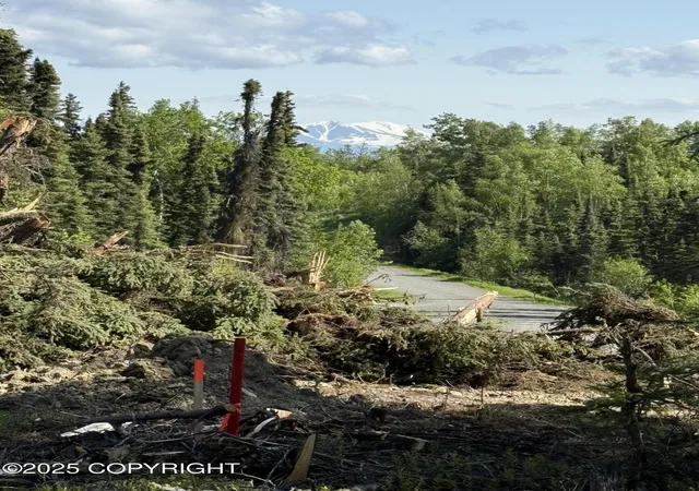 Homes for sale in Sterling, AK | Lot 11 Lambeau Ct, Sterling, AK 99672 | MLS# 25-7370