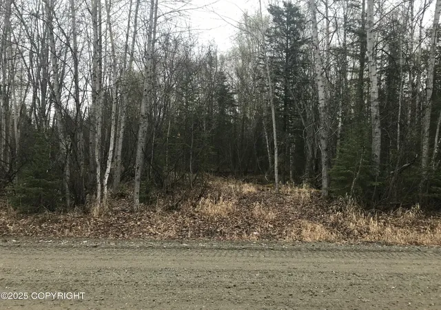 1st image of 7963 S Lucindas Pl, Wasilla, AK 99623 | MLS# 25-7867