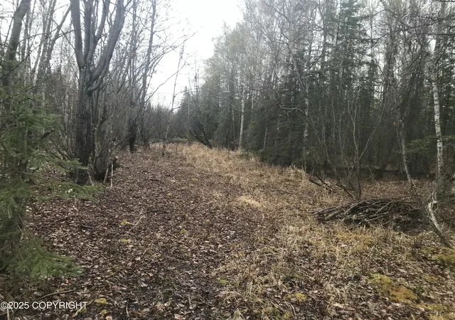 2nd image of 7963 S Lucindas Pl, Wasilla, AK 99623 | MLS# 25-7867