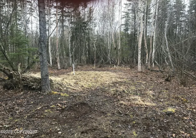 Photo 3 of Land for sale at 7963 S Lucindas Pl, Wasilla, AK 99623 | MLS# 25-7867 | Listing updated on 2026-07-18