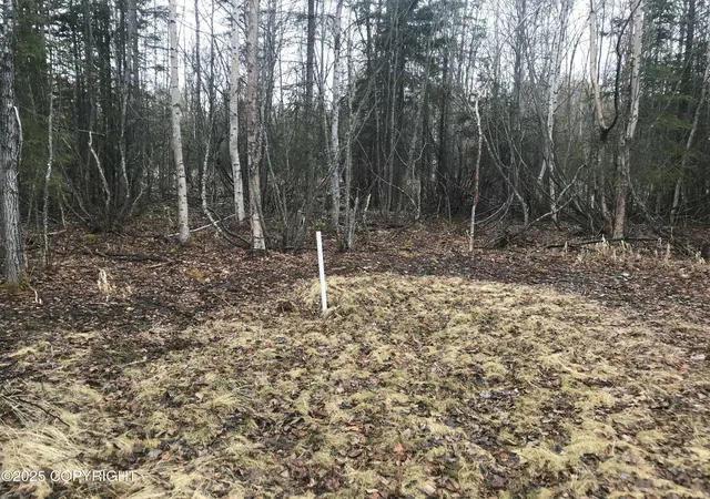 Photo 3 of Land for sale at 7963 S Lucindas Pl, Wasilla, AK 99623 | MLS# 25-7867 | Listing updated on 2026-07-18