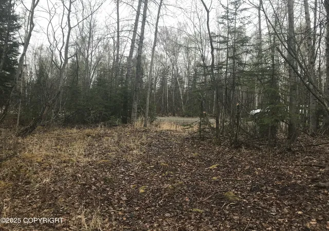 Photo 4 of Land for sale at 7963 S Lucindas Pl, Wasilla, AK 99623 | MLS# 25-7867 | Listing updated on 2026-07-18
