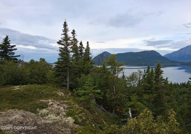 Photo 1 of Land for sale at L3 Russian Crk, Iliamna, AK 99606 | MLS# 25-7226 | Listing updated on 2026-09-26