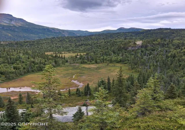 Photo 3 of Land for sale at L3 Russian Crk, Iliamna, AK 99606 | MLS# 25-7226 | Listing updated on 2026-09-26