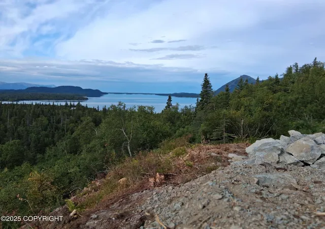 Photo 3 of Land for sale at L3 Russian Crk, Iliamna, AK 99606 | MLS# 25-7226 | Listing updated on 2026-09-26