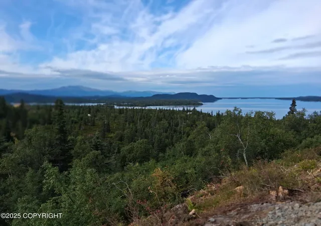 Photo 4 of Land for sale at L3 Russian Crk, Iliamna, AK 99606 | MLS# 25-7226 | Listing updated on 2026-09-26