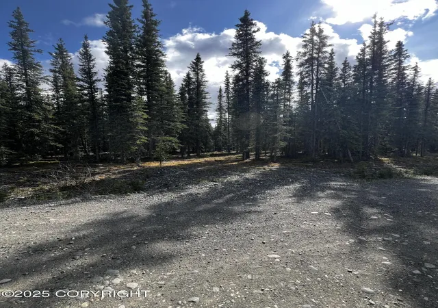 2nd image of 1g Alaska Hwy, Tok, AK 99780 | MLS# 25-7348