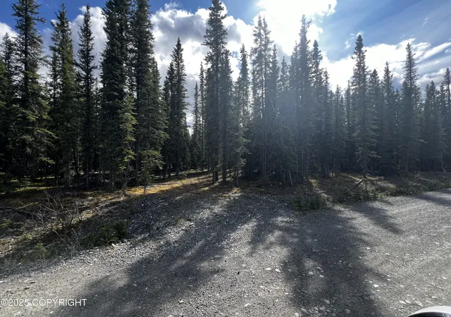 3rd image of 1g Alaska Hwy, Tok, AK 99780 | MLS# 25-7348