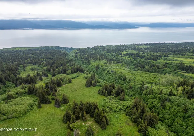Photo 2 of Land for sale at L2 Lupas Ave, Homer, AK 99603 | MLS# 26-7507 | Listing updated on 2026-06-26