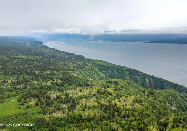 Photo 3 of Land for sale at L2 Lupas Ave, Homer, AK 99603 | MLS# 26-7507 | Listing updated on 2026-06-26