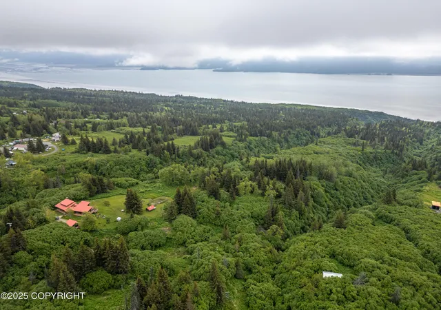 Photo 4 of Land for sale at L2 Lupas Ave, Homer, AK 99603 | MLS# 26-7507 | Listing updated on 2026-06-26