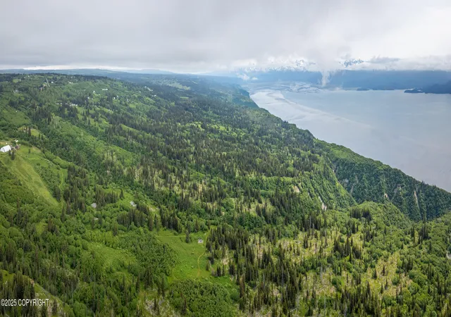 Photo 5 of Land for sale at L2 Lupas Ave, Homer, AK 99603 | MLS# 26-7507 | Listing updated on 2026-06-26