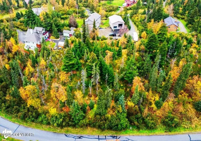 Homes for sale in Anchorage, AK | L4 Stone Ridge Rd, Anchorage, AK 99516 | MLS# 25-7424