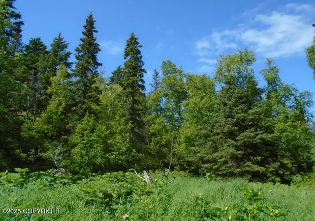 Photo 3 of Land for sale at L4 Stone Ridge Rd, Anchorage, AK 99516 | MLS# 25-7424 | Listing updated on 2026-07-10