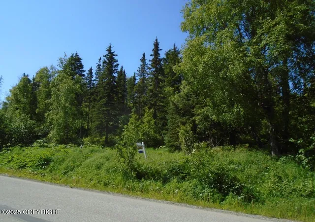 Photo 3 of Land for sale at L4 Stone Ridge Rd, Anchorage, AK 99516 | MLS# 25-7424 | Listing updated on 2026-07-10