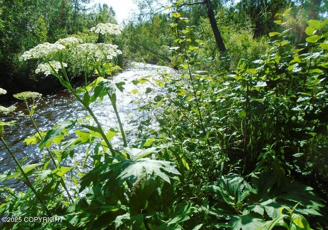 3rd image of Tr G Parks Hwy, Talkeetna, AK 99676 | MLS# 25-7614