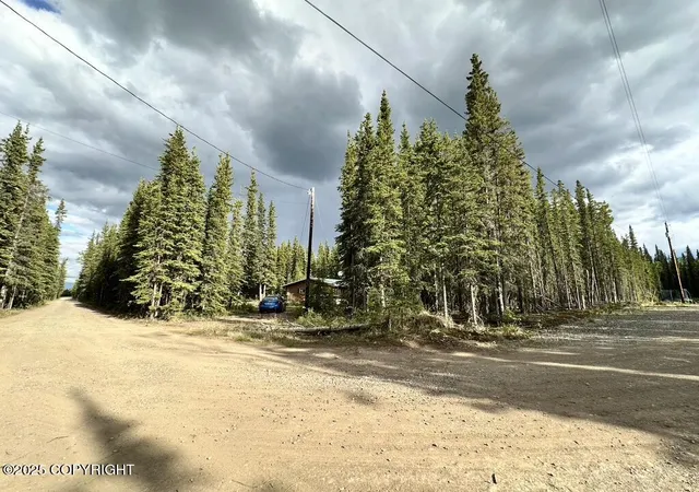 Photo 3 of Single family home for sale at 000 Sourdough Dr, Tok, AK 99780 | MLS# 25-7755 | Listing updated on 2026-09-26