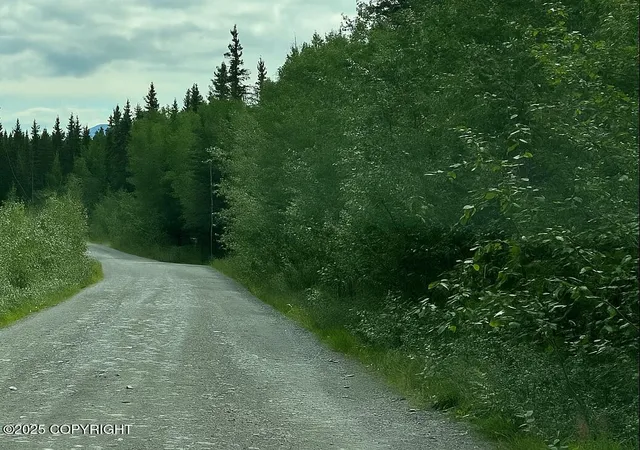 1st image of Lot 21 Dixon Dr, Copper Center, AK 99573 | MLS# 25-8768