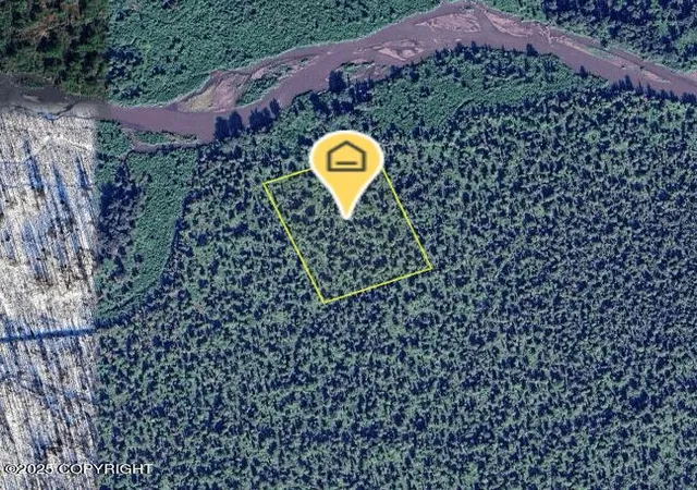 Homes for sale in Skwentna, AK | 000 Asls 82-145, Skwentna, AK 99667 | MLS# 25-8830