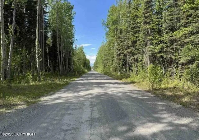 76th image of Mi 445 Mccarthy Rd, Chitina, AK 99566 | MLS# 25-8897