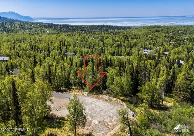 Homes for sale in Anchorage, AK | 12801 Midori Dr, Anchorage, AK 99516 | MLS# 25-9149