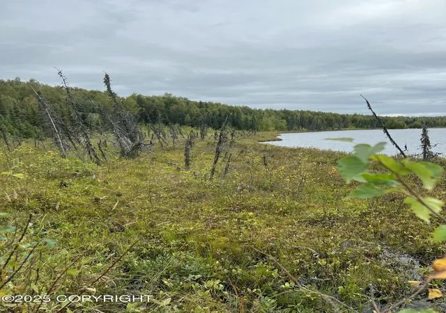 2nd image of Nhn W Hollywood Rd, Wasilla, AK 99654 | MLS# 25-11333