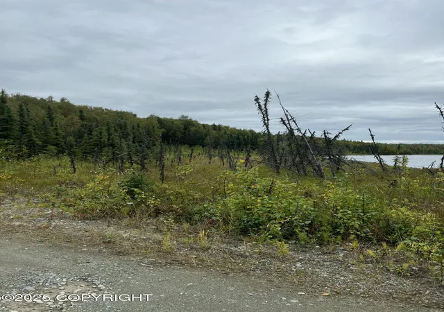 Photo 3 of Land for sale at Nhn W Hollywood Rd, Wasilla, AK 99654 | MLS# 25-11333 | Listing updated on 2025-09-09